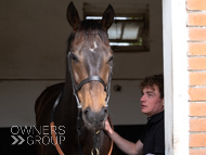 EL080425-17 - Emma Lavelle Stable Visit